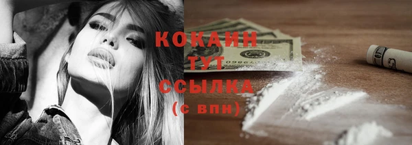 винт Бородино