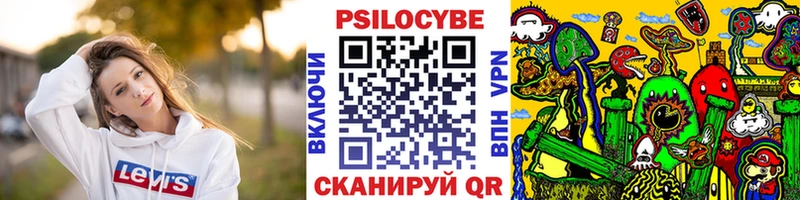 Псилоцибиновые грибы Magic Shrooms  Купить  Новосиль 