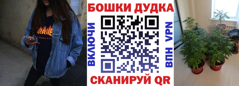 Бошки марихуана сатива  Купить где  Новосиль 